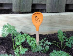 vegetable garden markers | polka dots and picket fences