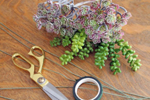 succulent napkin rings | oplka dots and picket fences