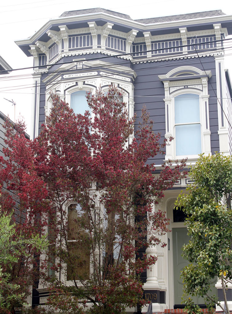 san francisco...off the beaten path | polka dots and picket fences